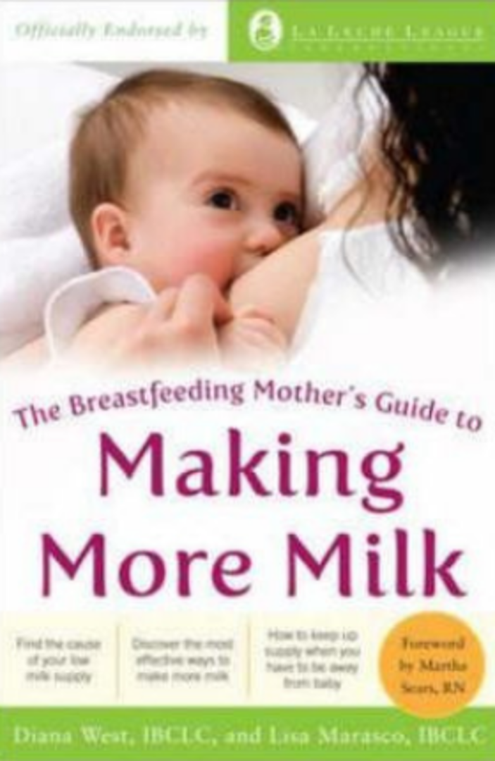 The Breastfeeding Mother's Guide to Making More Milk image 0
